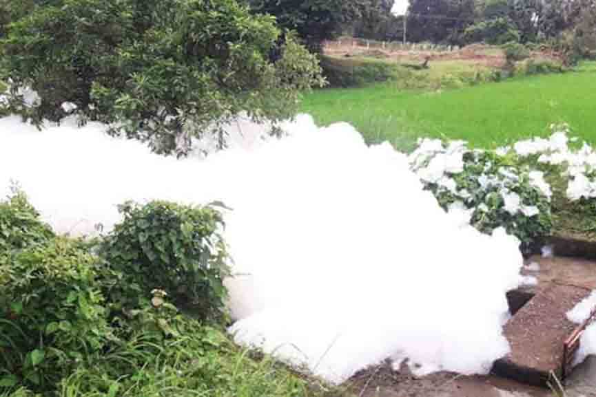 Palakkad-News Palakkad-News