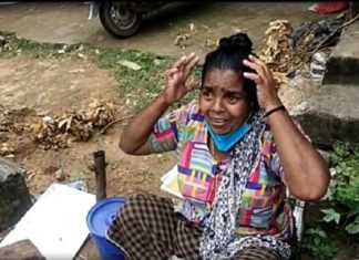 മീൻകുട്ട തട്ടിയെറിഞ്ഞ സംഭവം; ആറ്റിങ്ങൽ നഗരസഭാ ജീവനക്കാർക്ക് സസ്പെൻഷൻ
