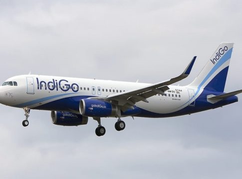 Indigo