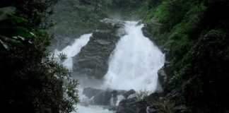 കാട്ടുതീ പ്രതിരോധം; രണ്ടരവർഷമായി പൂട്ടിക്കിടന്ന മീൻമുട്ടി വെള്ളച്ചാട്ടം തുറന്നു