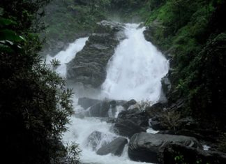കാട്ടുതീ പ്രതിരോധം; രണ്ടരവർഷമായി പൂട്ടിക്കിടന്ന മീൻമുട്ടി വെള്ളച്ചാട്ടം തുറന്നു