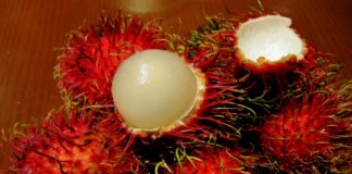 rambutan