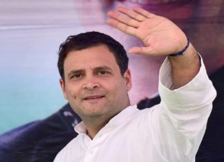 വോട്ടർമാരോട് നന്ദി പറയാൻ രാഹുൽ ഗാന്ധി നാളെ വയനാട്ടിൽ Rahul Gandhi