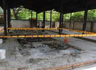 9 വയസുകാരിയുടെ കൊലപാതകം; പീഡനം നടന്നതിന് തെളിവില്ലെന്ന് ക്രൈം ബ്രാഞ്ച് Minor-girl-killed in Delhi