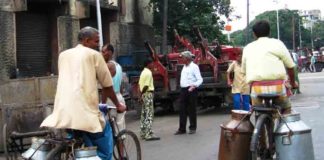 dairy farmers join hands for the school