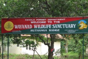 Wayanad Wildlife Sanctuary