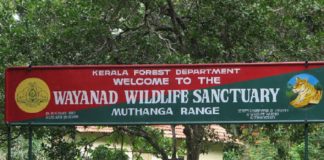 Wayanad Wildlife Sanctuary