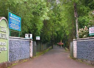 Teak Museum