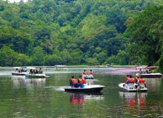 ജില്ലയിലേക്ക് സന്ദർശകർ എത്തുന്നു; സജീവമാകാൻ ഒരുങ്ങി ടൂറിസം കേന്ദ്രങ്ങൾ Wayanad News