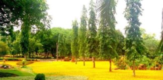 Calicut University Park