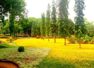 Calicut University Park
