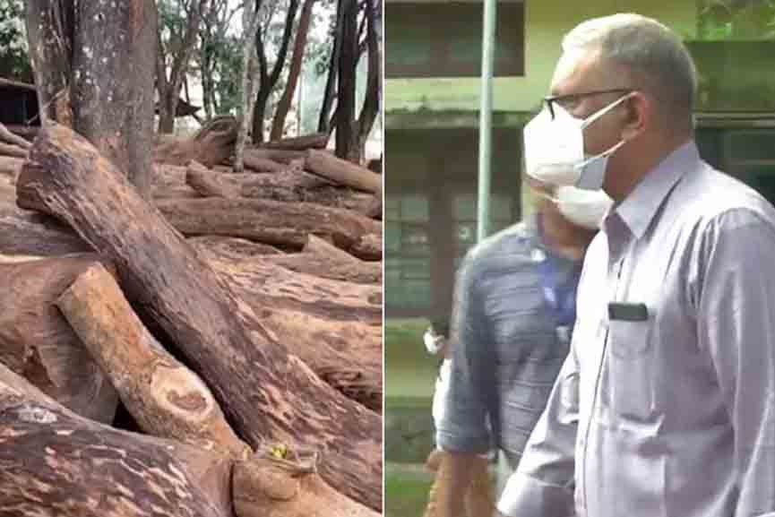 Wood-Smuggling Muttil Wood-Smuggling