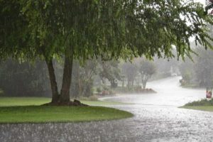rain in kerala