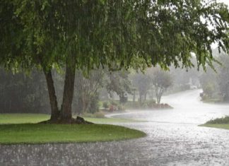 rain in kerala