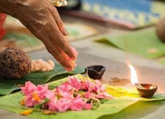 karkkadaka vaavu-case