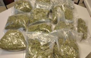 cannabis seized in Kalamassery Polytechnic Hostel