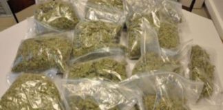 cannabis seized in Kalamassery Polytechnic Hostel