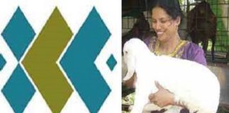 ജിദ്ദ ഐസിഎഫ് നിരാലംബരായ ഇരുനൂറ് കുടുംബങ്ങൾക്ക് ജീവിതോപാധി ഒരുക്കുന്നു ICF Jeddah provides livelihood to 200 needy families