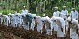 എസ്വൈഎസ് ‘സംഘകൃഷിക്ക്’ തുടക്കം കുറിച്ചു SYS Kuruva Circle marks the beginning of 'Team Farming'