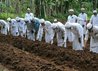 SYS Kuruva Circle marks the beginning of 'Team Farming'