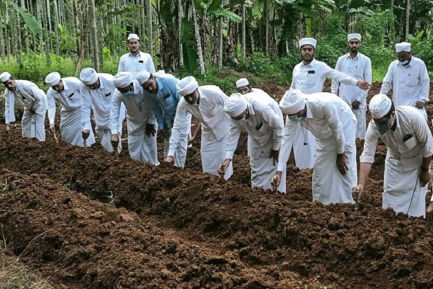 SYS Kuruva Circle marks the beginning of 'Team Farming' SYS Kuruva Circle marks the beginning of 'Team Farming'