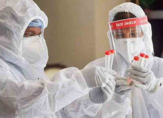 เดคเดฒเดชเตเดชเดพเดเดฟเดฏเดฟเตฝ เดจเดพเดณเต เดฎเตเดคเตฝ เดฎเตเดฌเตเตฝ เดเตเดตเดฟเดกเต เดเตเดธเตโเดฑเตเดฑเดฟเดเดเต เดฏเตเดฃเดฟเดฑเตเดฑเต MObile Covid-Test Unit