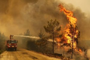 wildfire
