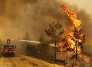ആശങ്കയായി വീണ്ടും കാട്ടുതീ; 8000 ഏക്കർ നശിച്ചു, 31,000 പേർക്ക് വീടൊഴിയാൻ നിർദ്ദേശം wildfire
