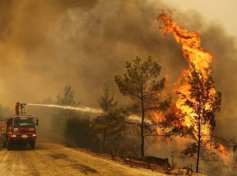 wildfire