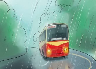 50 രൂപക്ക് 20 മണിക്കൂർ യാത്ര; കെഎസ്ആർടിസിയുടെ ഗ്രാമവണ്ടി വരുന്നു KSRTC Bus Service