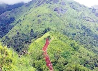 ബാണാസുര മലയിൽ അനധികൃത കുന്നിടിക്കൽ വ്യാപകം