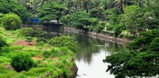 canoli canal-malappuram news