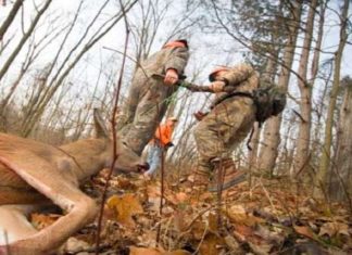 ജില്ലയിൽ നായാട്ടു സംഘങ്ങൾ സജീവം; നാലുമാസത്തിനിടെ അറസ്റ്റിലായത് 16 പേർ hunting