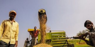 പാലക്കാട് നെല്ല് സംഭരണം; 35 മില്ലുടമകൾ കരാർ ഒപ്പിട്ടു