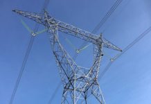 വയനാട് പാക്കേജ്; ഗ്രീൻ കോറിഡോർ പദ്ധതിക്ക് 850 കോടി വയനാട് പാക്കേജ്; ഗ്രീൻ കോറിഡോർ പദ്ധതിക്ക് 850 കോടി