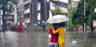 കാലവര്ഷം സജീവമാകും; വിവിധ ജില്ലകളിൽ യെല്ലോ അലര്ട് Rain updates in kerala