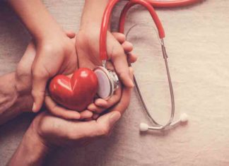 തീരാനോവായി ആലിൻ ഷെറിൻ; അവയവങ്ങൾ റോഡ് മാർഗം തിരുവനന്തപുരത്തേക്ക് Organ Donation in Kerala