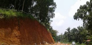 റീബിൽഡ് കേരള; സംസ്ഥാനപാത നവീകരണത്തിനായി മരങ്ങൾ മുറിച്ചുതുടങ്ങി