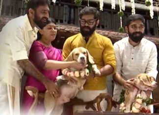 ആക്സിഡിനും ജാൻവിക്കും കന്നിമാസത്തിൽ താലികെട്ട്