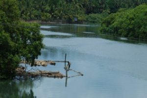 iruvanjippuzha