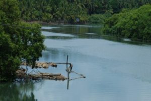 Two children drowned while bathing in a river