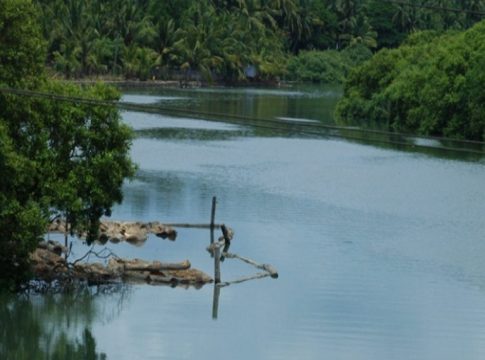iruvanjippuzha