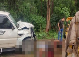 ഛത്തീസ്ഗഡിൽ വാഹനാപകടം; ഏഴ് മരണം, ഒൻപത് പേർക്ക് പരിക്ക് 7 death in accident