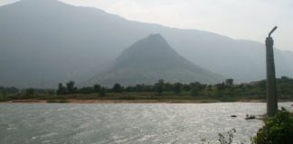 കർഷകർക്ക് പ്രതീക്ഷയേകി മീങ്കര, ചുള്ളിയാർ ഡാമുകളിൽ ജലനിരപ്പ് ഉയർന്നു