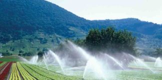 സംസ്ഥാനത്തെ ആദ്യ സാമൂഹിക സൂക്ഷ്മ ജലസേചനപദ്ധതി കരടിപ്പാറയിൽ social-micro-irrigation-project