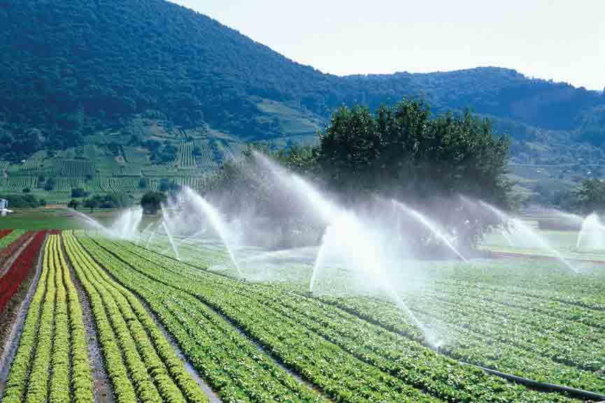 social-micro-irrigation-project social-micro-irrigation-project