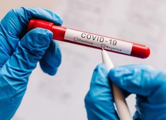 covid test