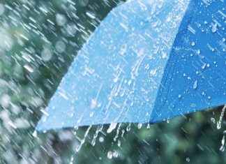 കാലവർഷം; വയനാട്ടിൽ ലഭിച്ചത് 30.5 ശതമാനം കുറവ് മഴ