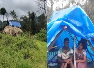 കാട്ടാനയെ പേടിച്ച് ജീവിതം പാറപ്പുറത്ത്; ആദിവാസി വീട്ടമ്മയ്ക്ക് താങ്ങായി എംഎൽഎ