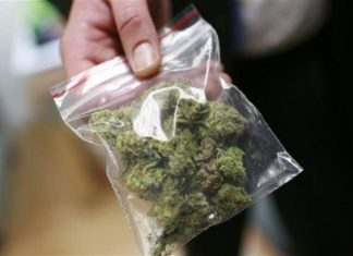 cannabis caught